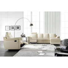 Living Room Genuine Leather Sofa (812)
